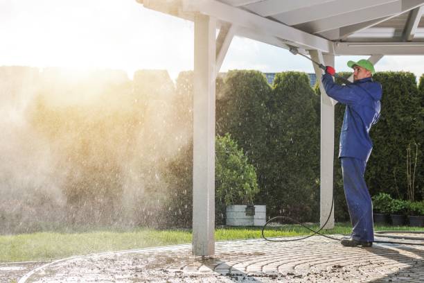 Best Driveway Cleaning and Restoration in Flemington, PA